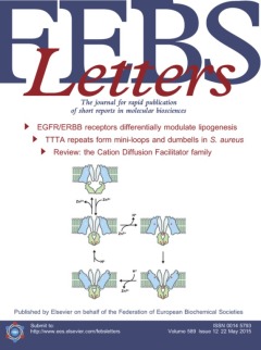 FEBS Letters Cover May 2015 from Cation Diffusion Facilitator Review